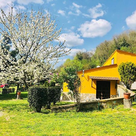 Agriturismo Pianezze Villa Grotte di Castro Екстериор снимка