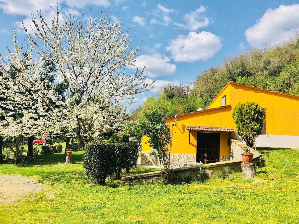Agriturismo Pianezze Villa Grotte di Castro Екстериор снимка